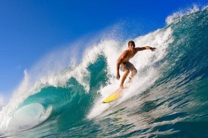  J9九游会平台：葡萄牙体育撕毁君子协定拒降价放行 约克雷斯暴怒恐引发离队风波