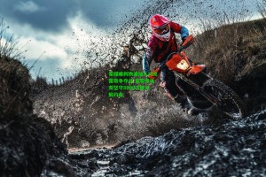  九游会官网|葡媒曝利物浦加入约克雷斯争夺战 葡萄牙体育坚守8000万欧元解约金